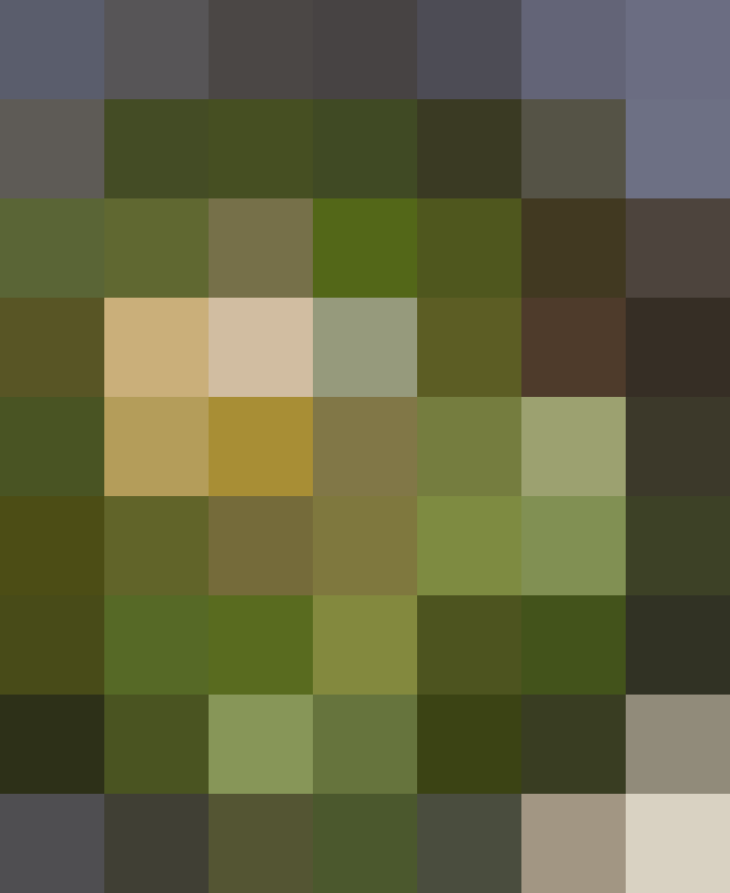 (placeholder)