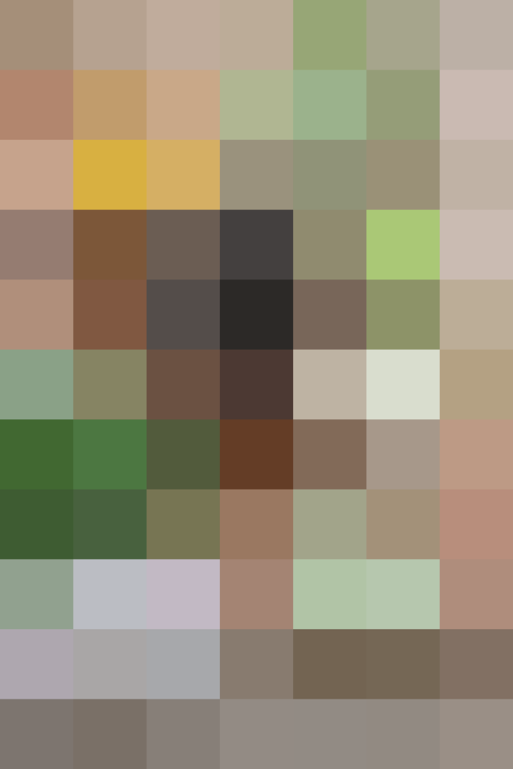 (placeholder)