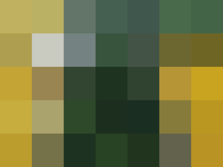 (placeholder)