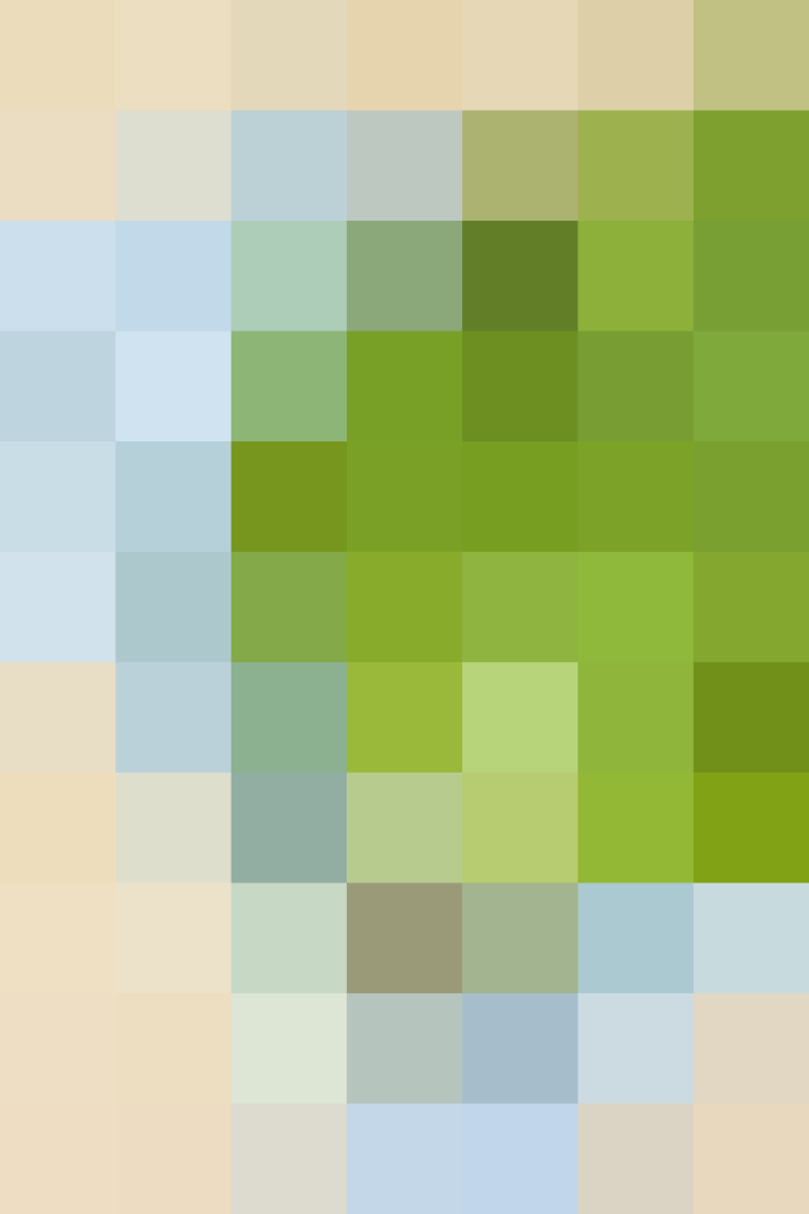 (placeholder)