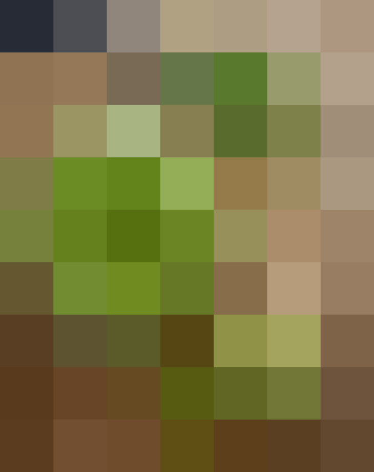 (placeholder)