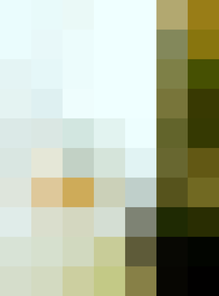 (placeholder)