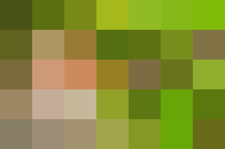 (placeholder)