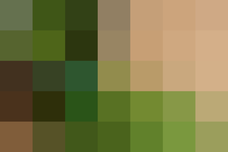 (placeholder)