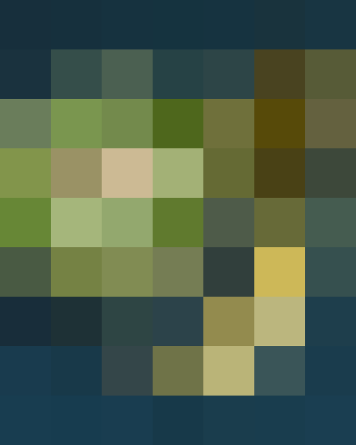 (placeholder)