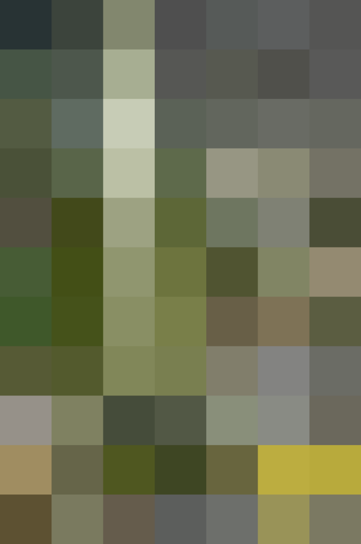 (placeholder)