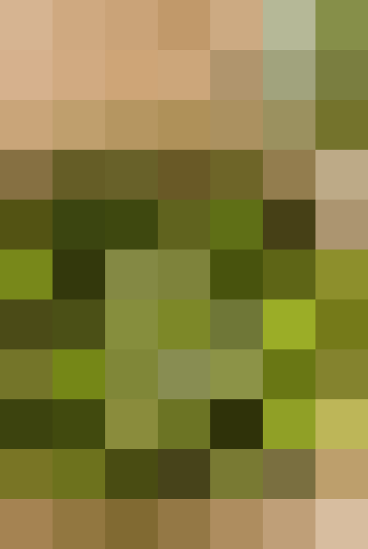 (placeholder)