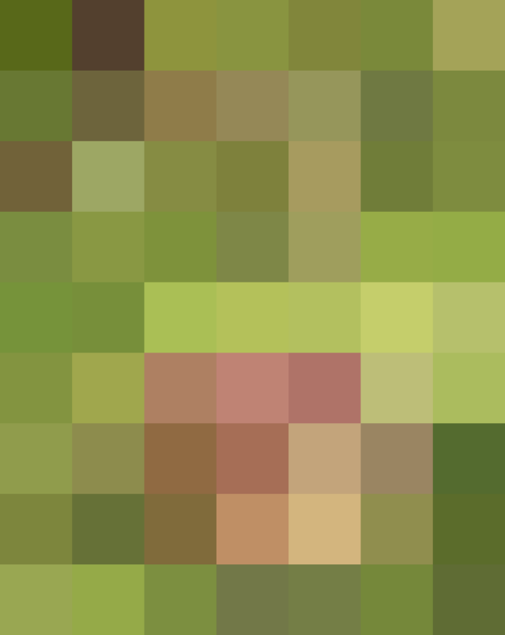 (placeholder)