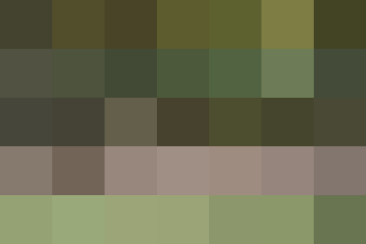 (placeholder)