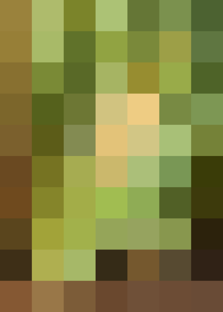 (placeholder)