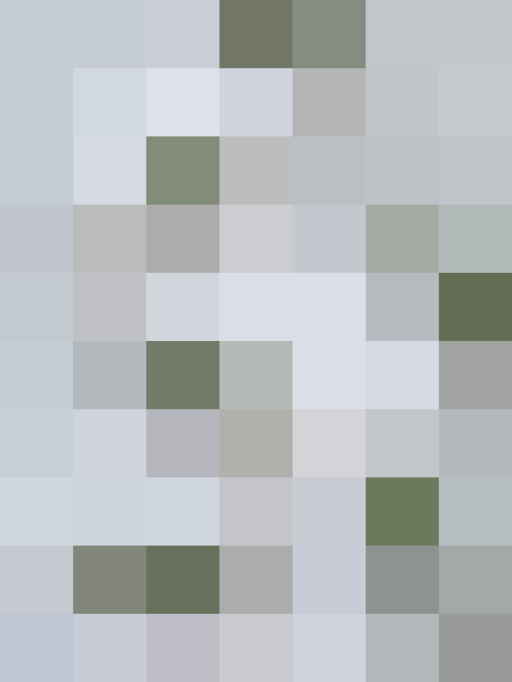 (placeholder)