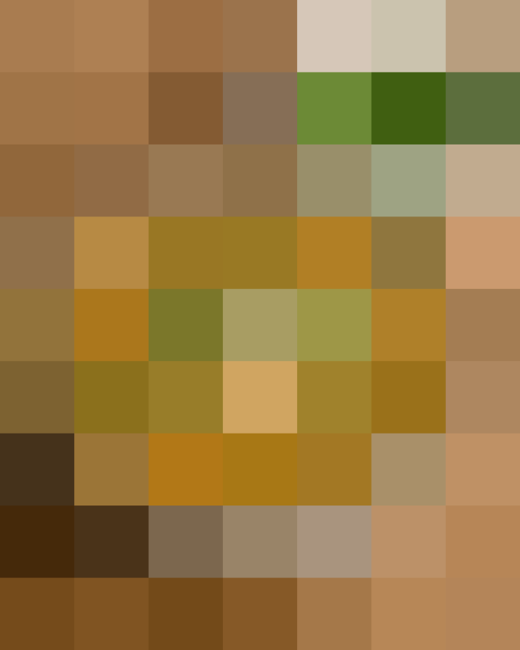 (placeholder)