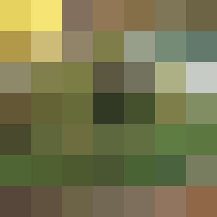 (placeholder)
