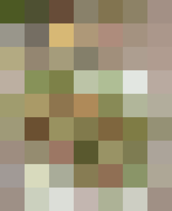 (placeholder)