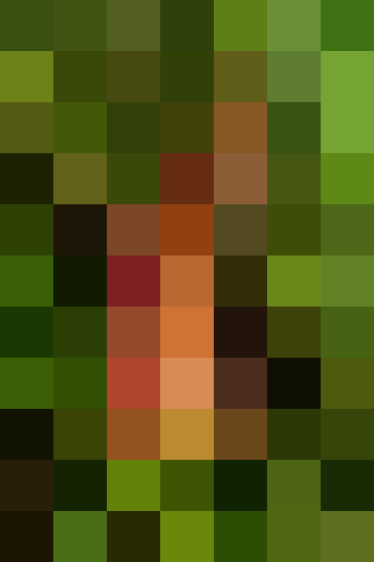 (placeholder)