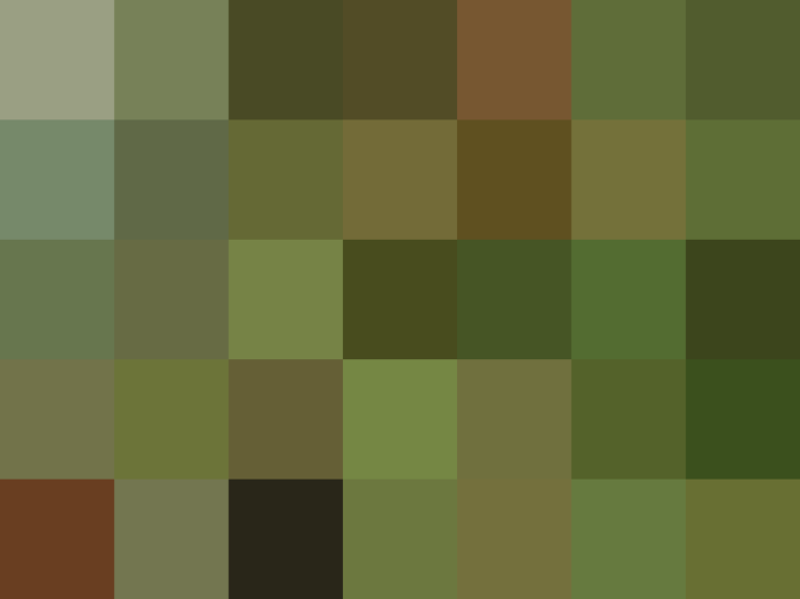 (placeholder)