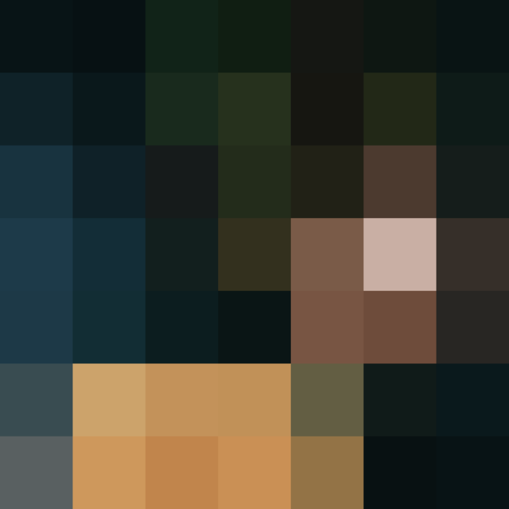 (placeholder)