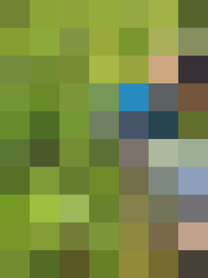 (placeholder)