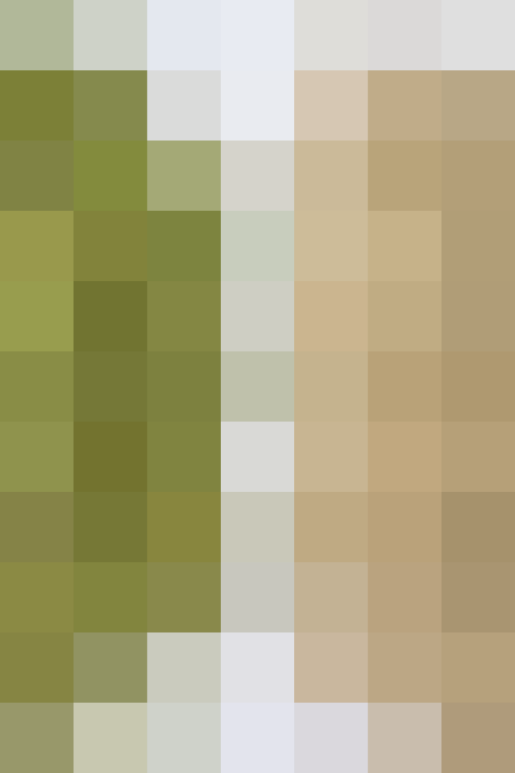 (placeholder)
