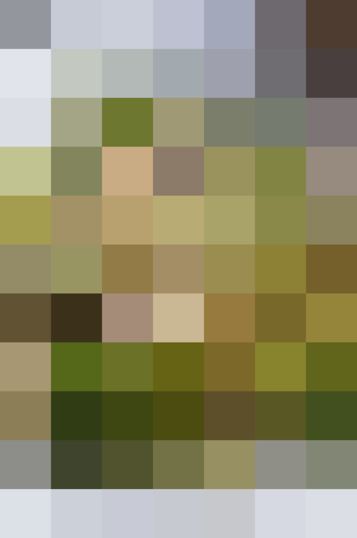 (placeholder)