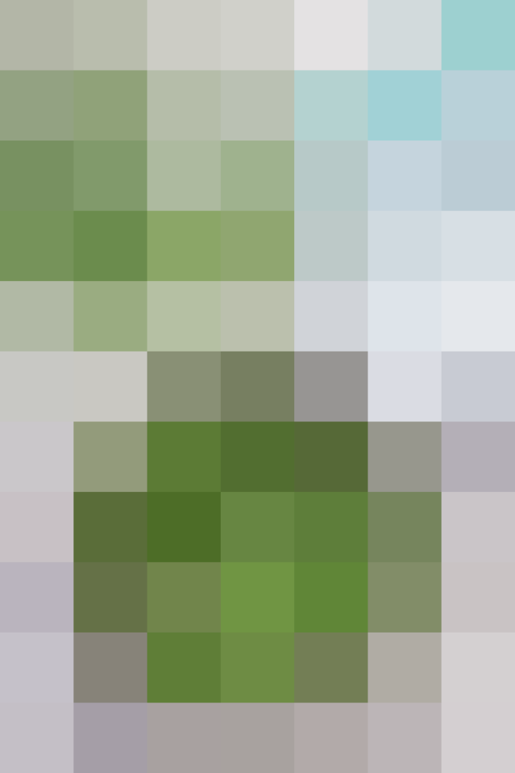 (placeholder)