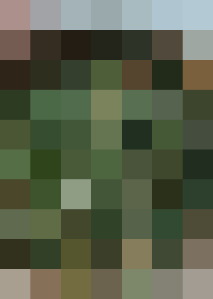 (placeholder)
