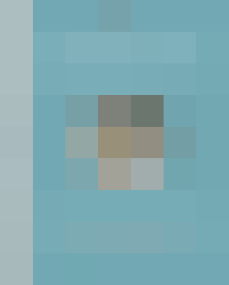 (placeholder)
