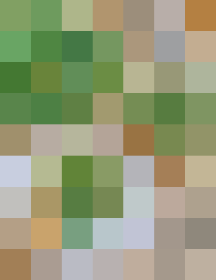 (placeholder)