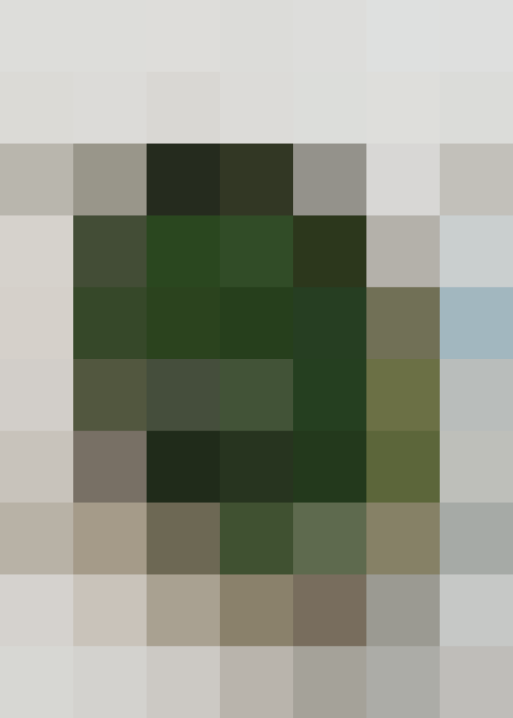 (placeholder)