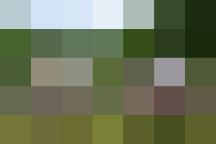 (placeholder)