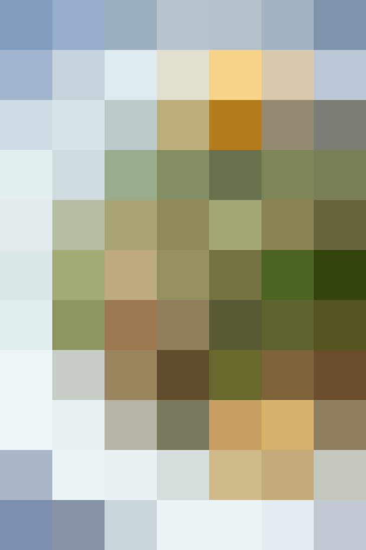 (placeholder)