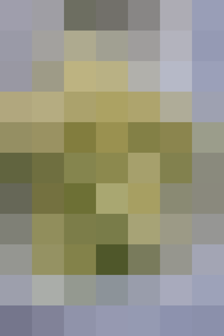 (placeholder)