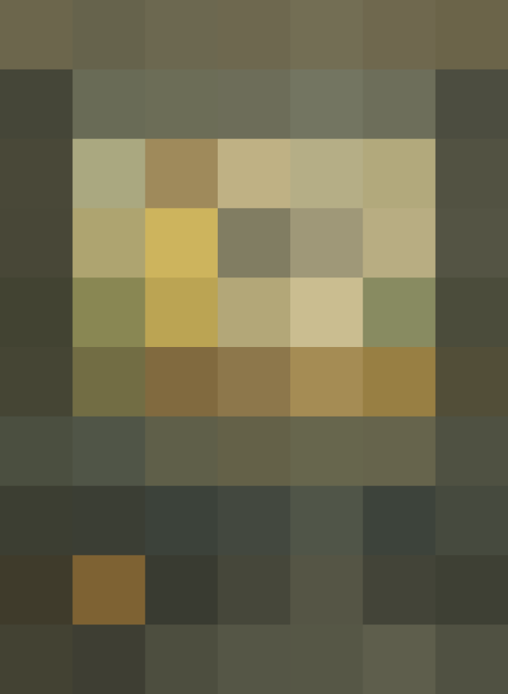 (placeholder)