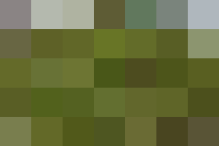 (placeholder)