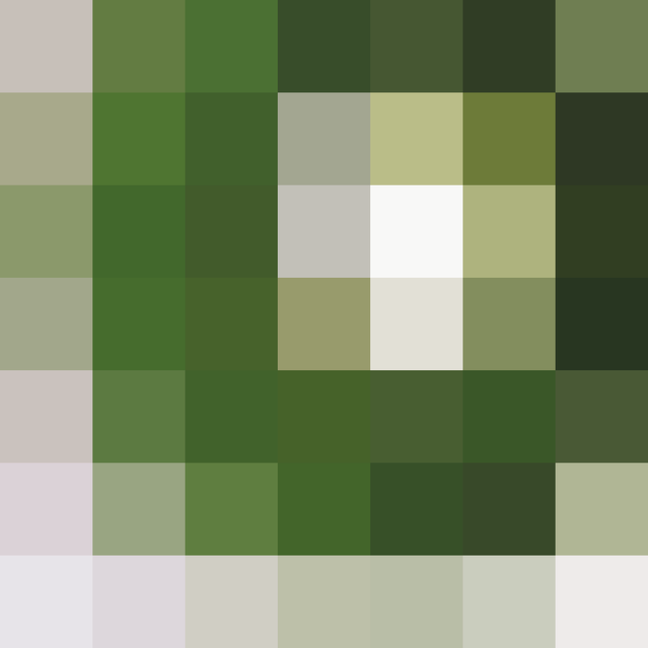 (placeholder)