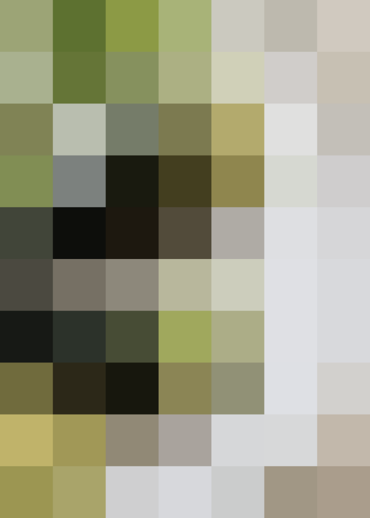 (placeholder)