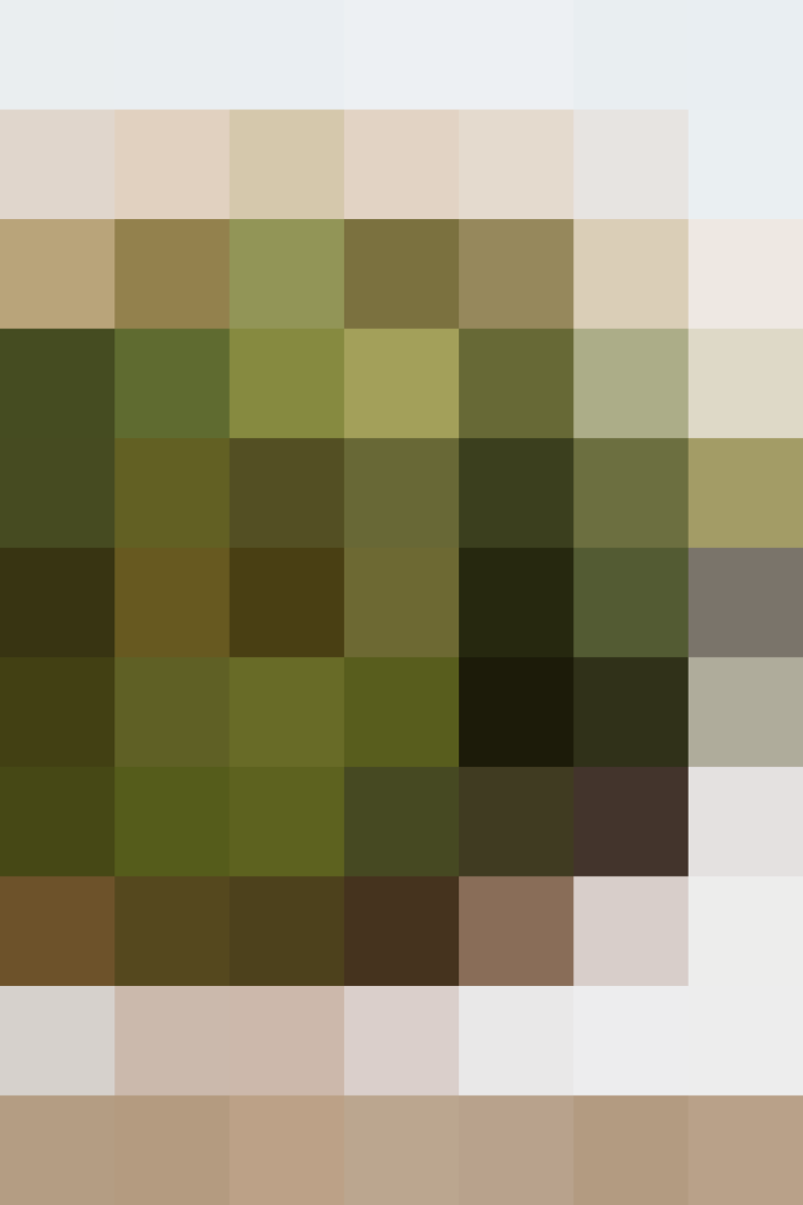 (placeholder)