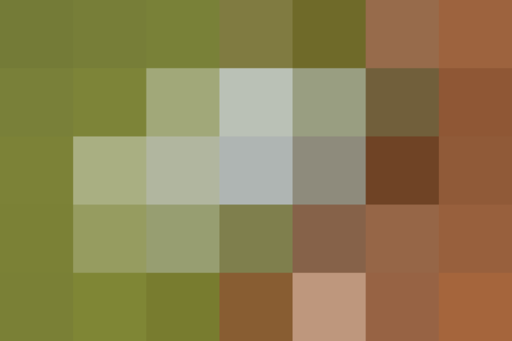 (placeholder)