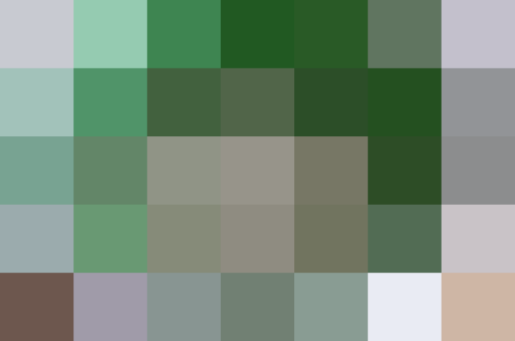 (placeholder)