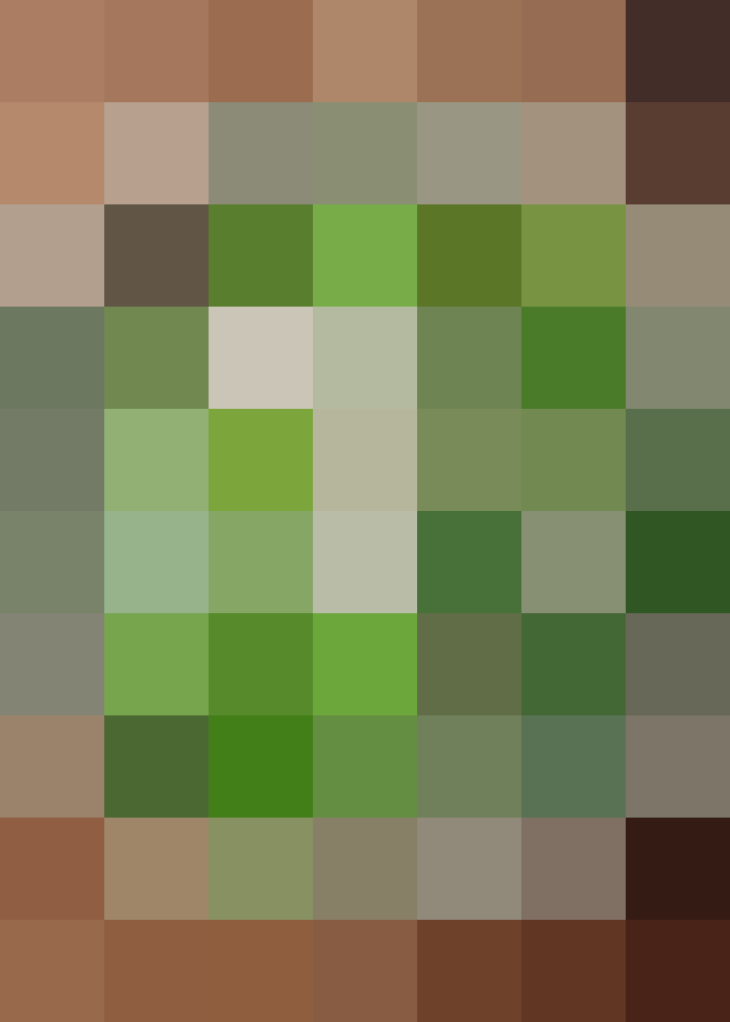 (placeholder)