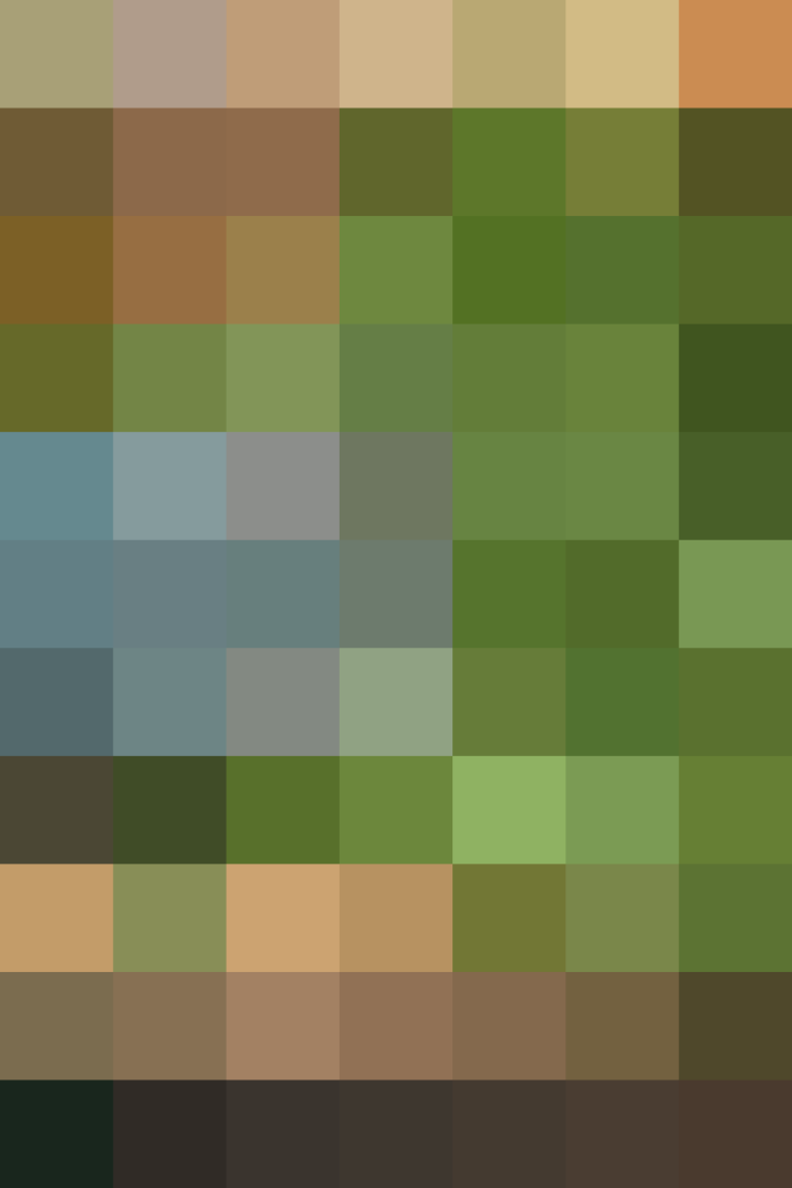 (placeholder)