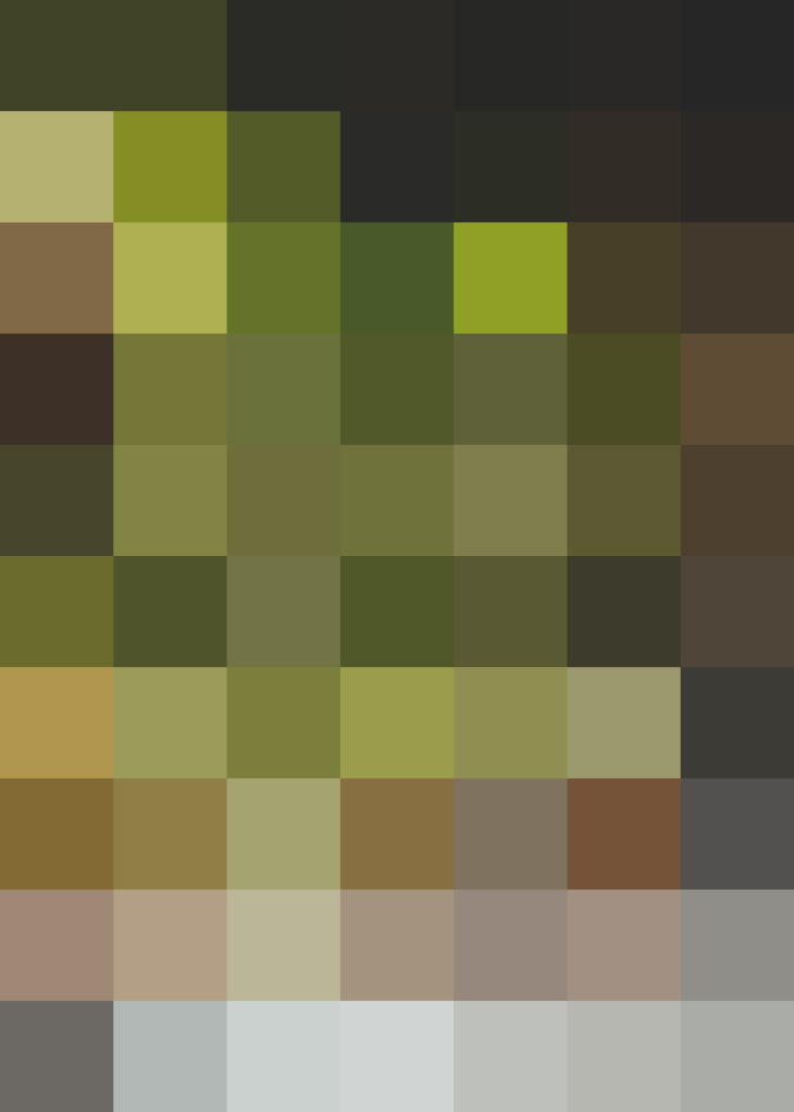 (placeholder)