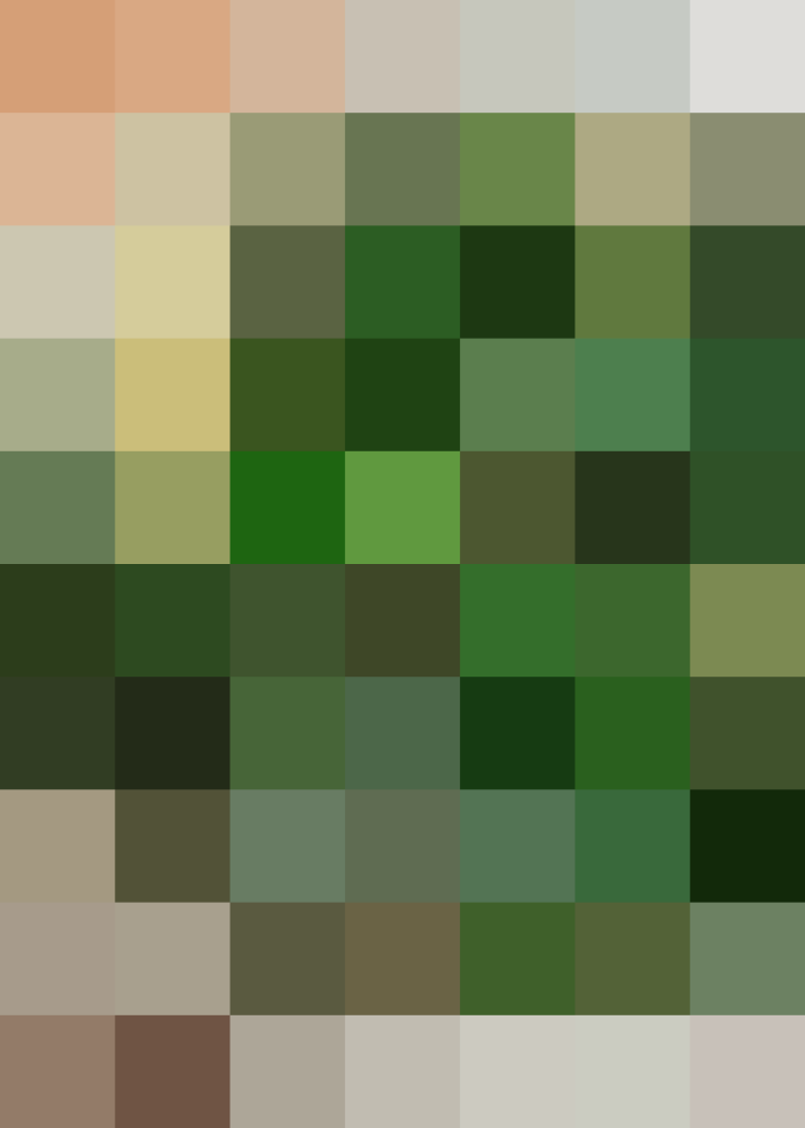 (placeholder)