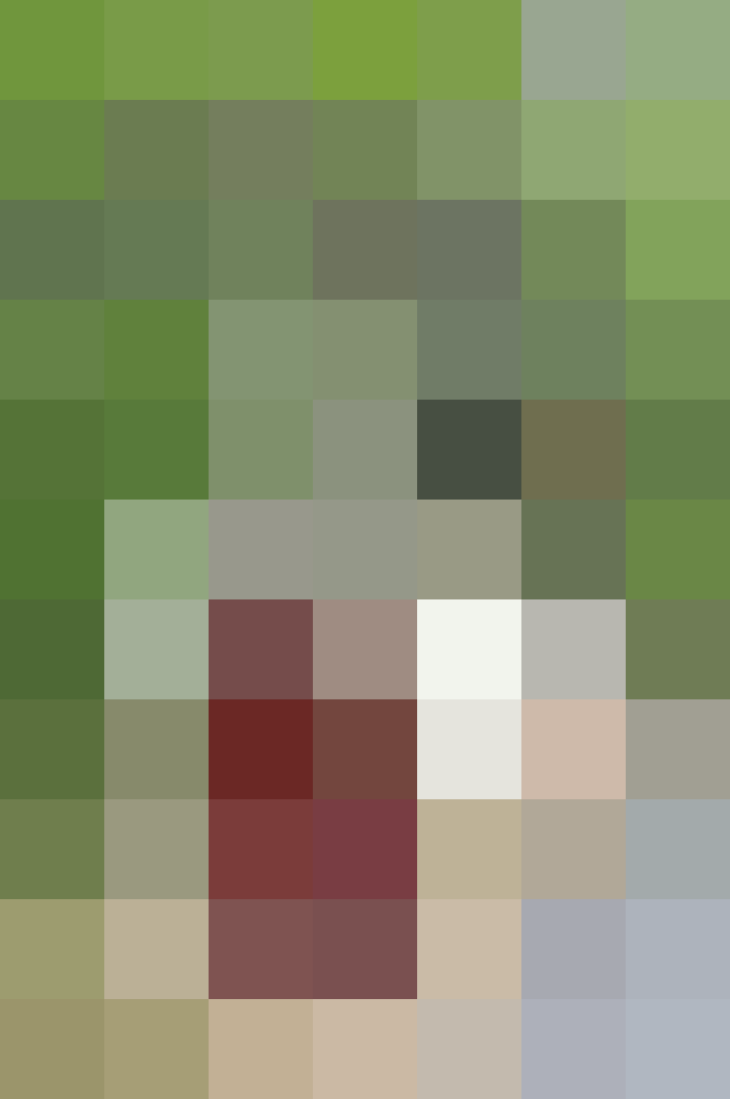 (placeholder)