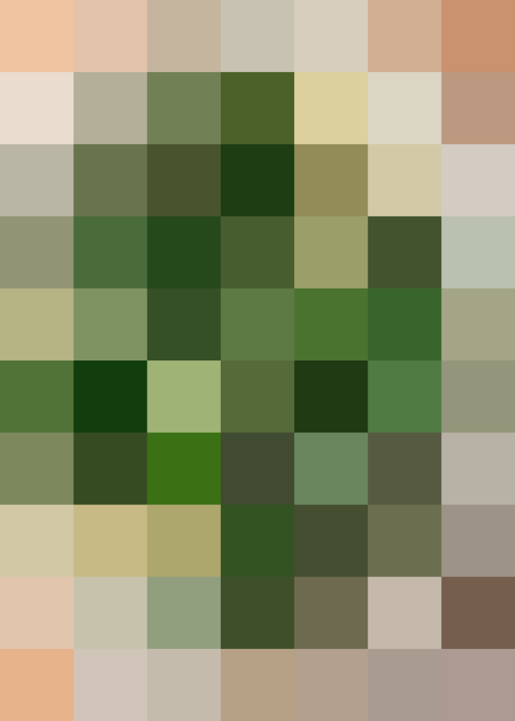 (placeholder)