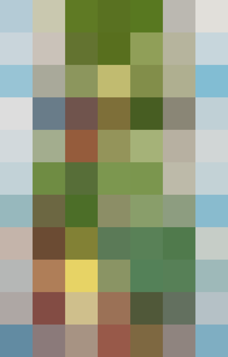 (placeholder)