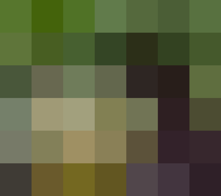 (placeholder)