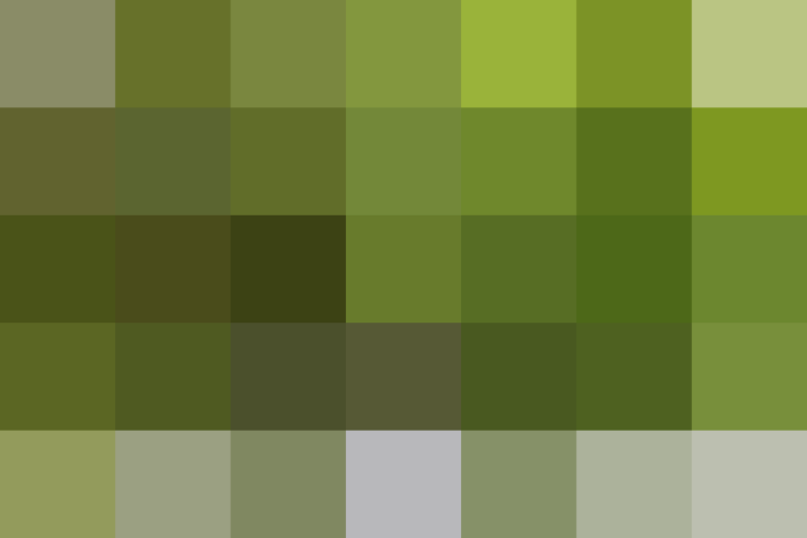 (placeholder)