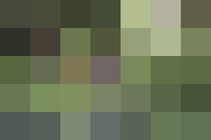 (placeholder)