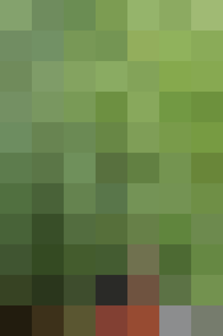 (placeholder)